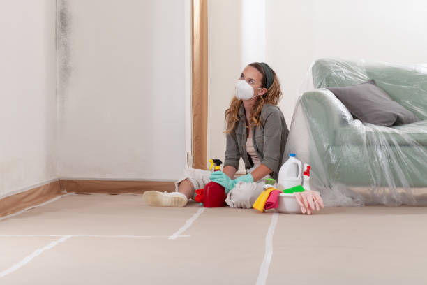 Trusted Black Mold Removal service in Saxapahaw, NC - WQB Mold Removal